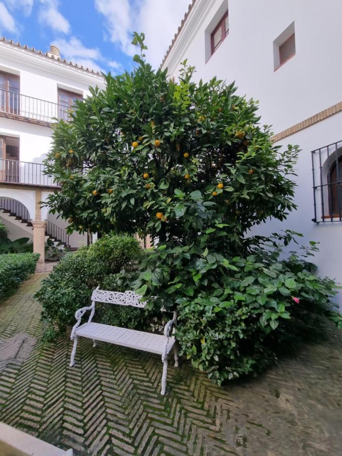 Apartamento De Dos Dormitorios En Plaza Alfaro Sevilla Buitenkant foto
